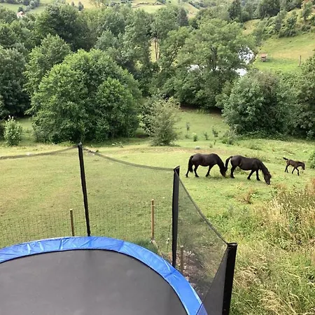 Les Bambi&jacuzzi Privatif