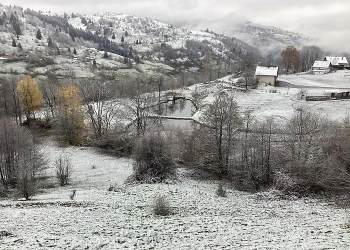 Les Bambi & Jacuzzi Privatif ラ・ブレス