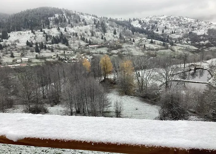 Les Bambi & Jacuzzi Privatif La Bresse