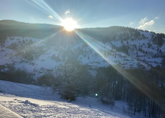 アパート Les Bambi & Jacuzzi Privatif