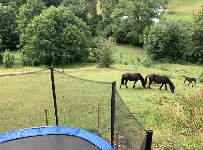 Les Bambi & Jacuzzi Privatif